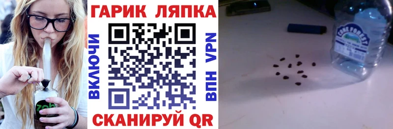 ГАШ VHQ Славгород