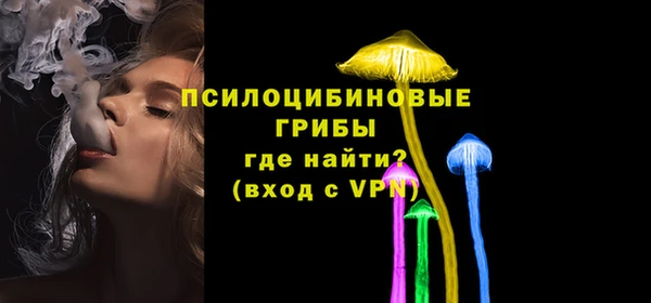 твердый Алзамай