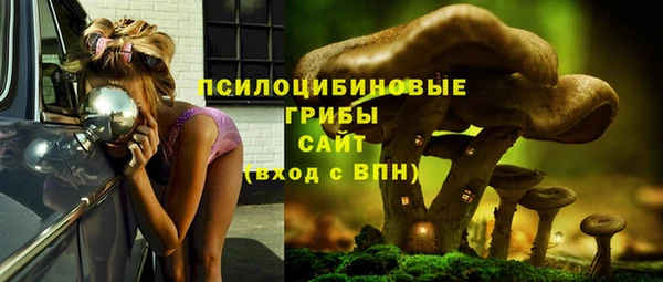 твердый Алзамай