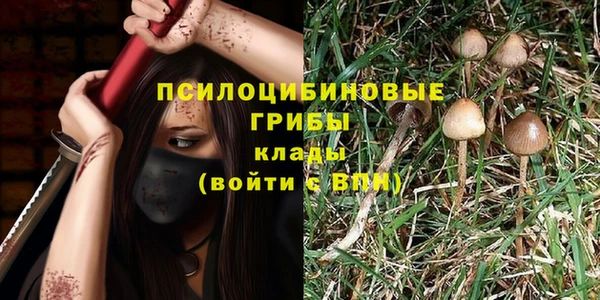 каннабис Алексин